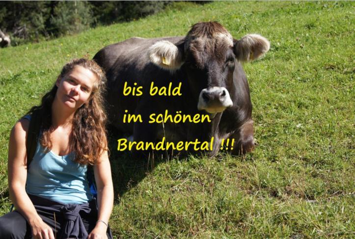 Haus Bergfriede * Brand (Vorarlberg)